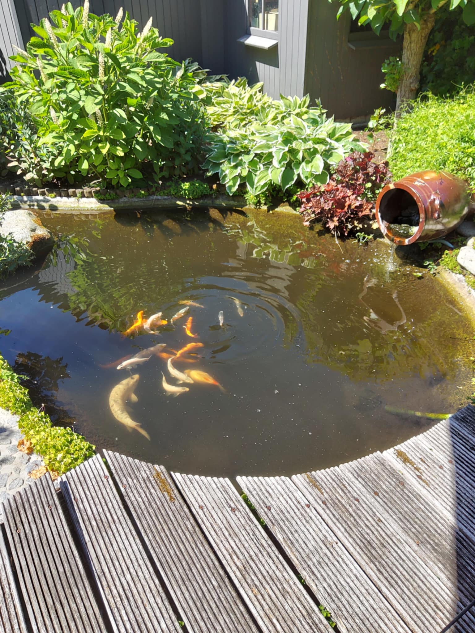 Tuin Willy Jannis