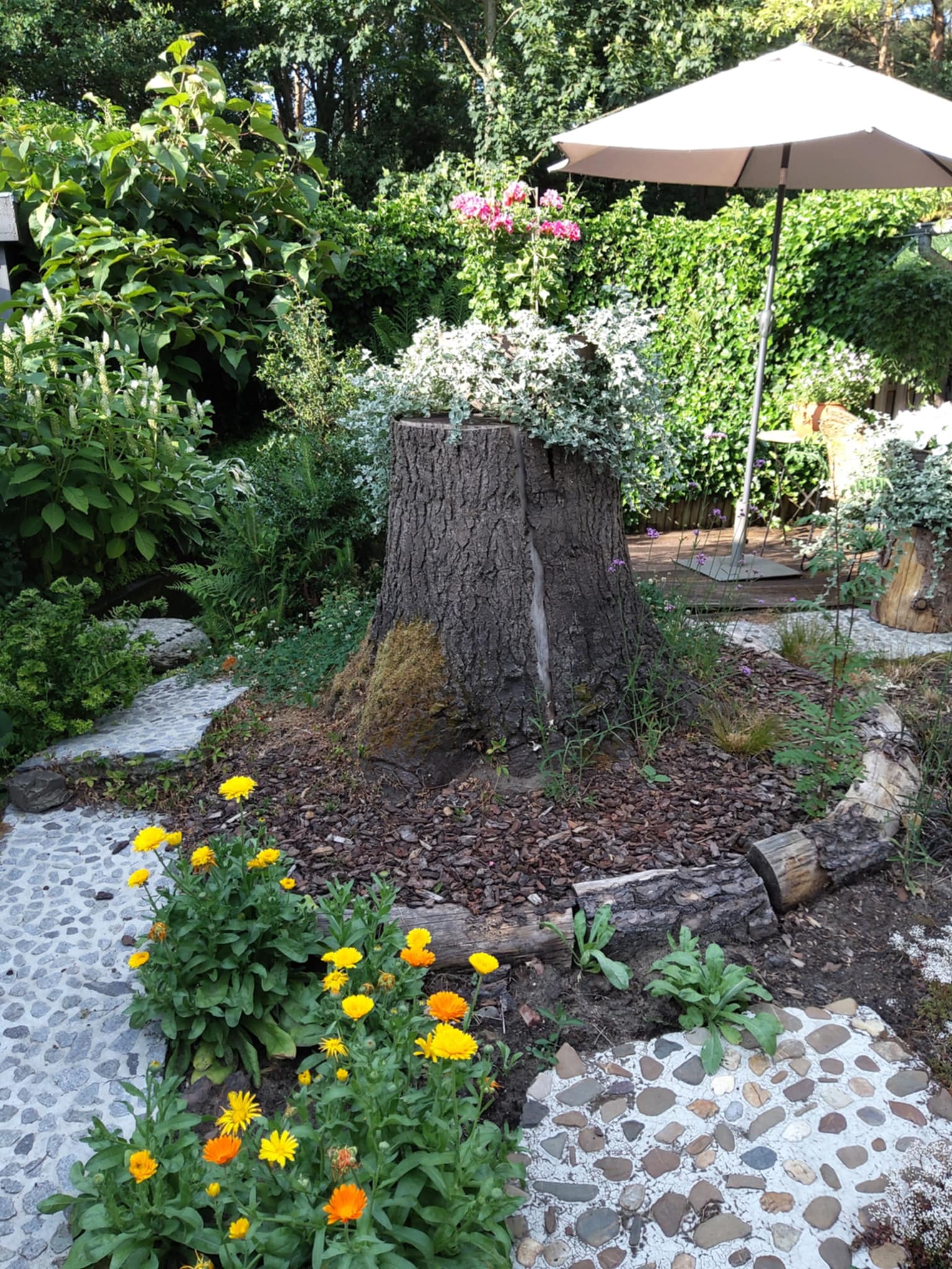 Tuin Willy Jannis