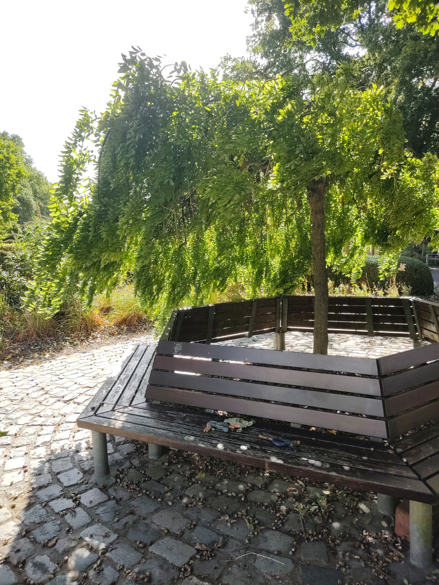 Tuin De lovie