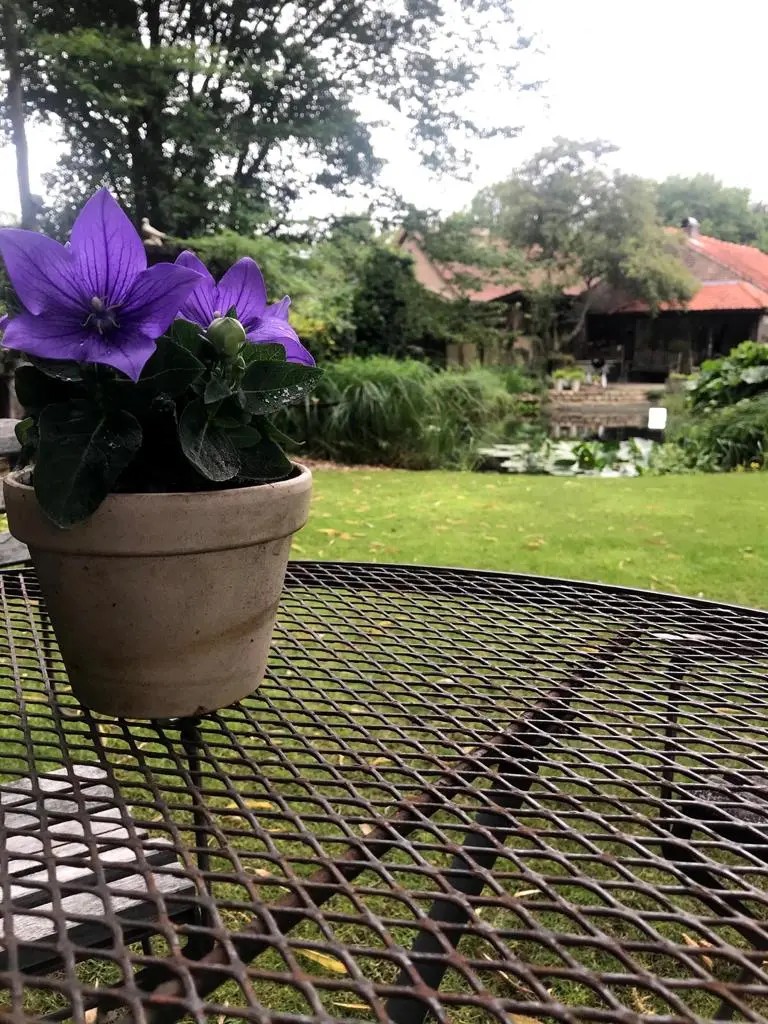 Tuin Casa Otium