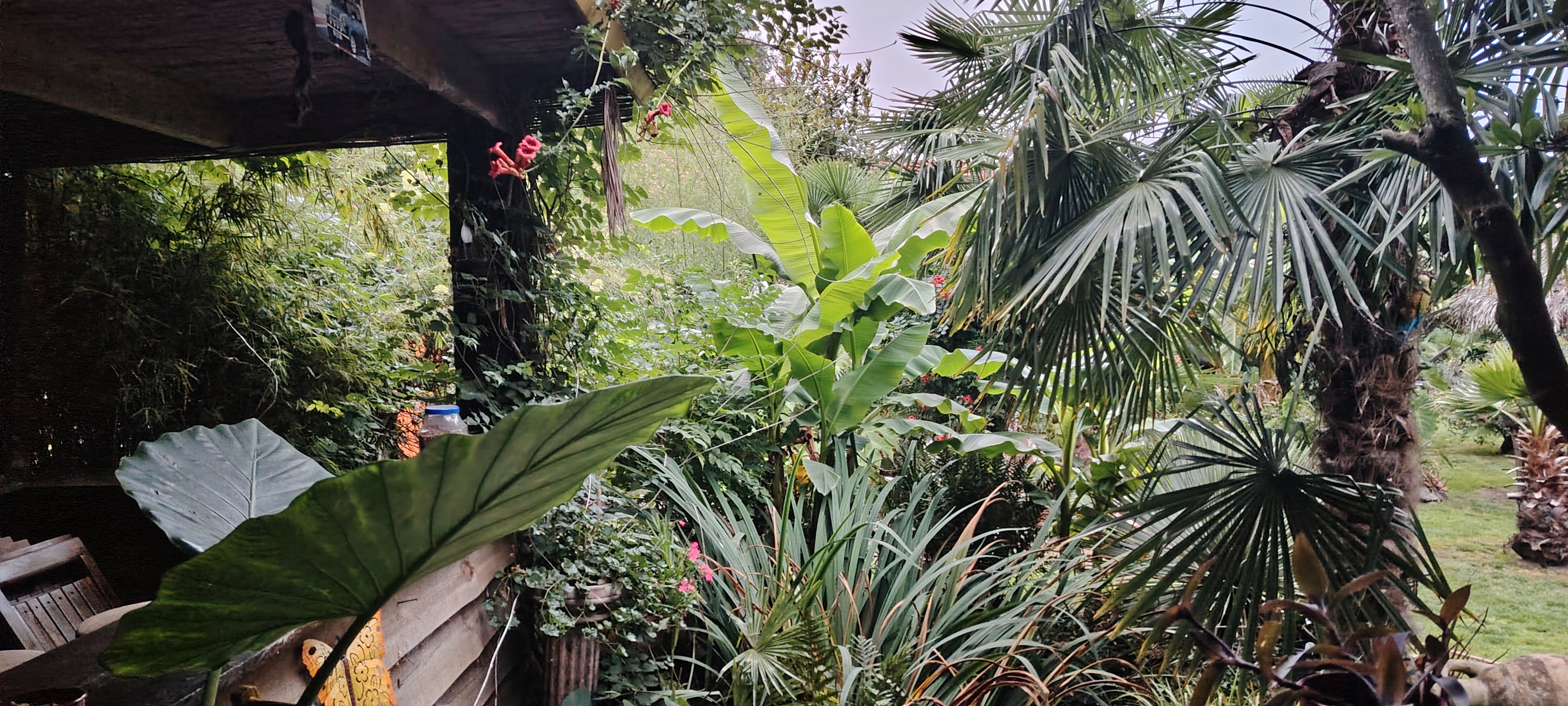Tuin Johan Boeckmans
