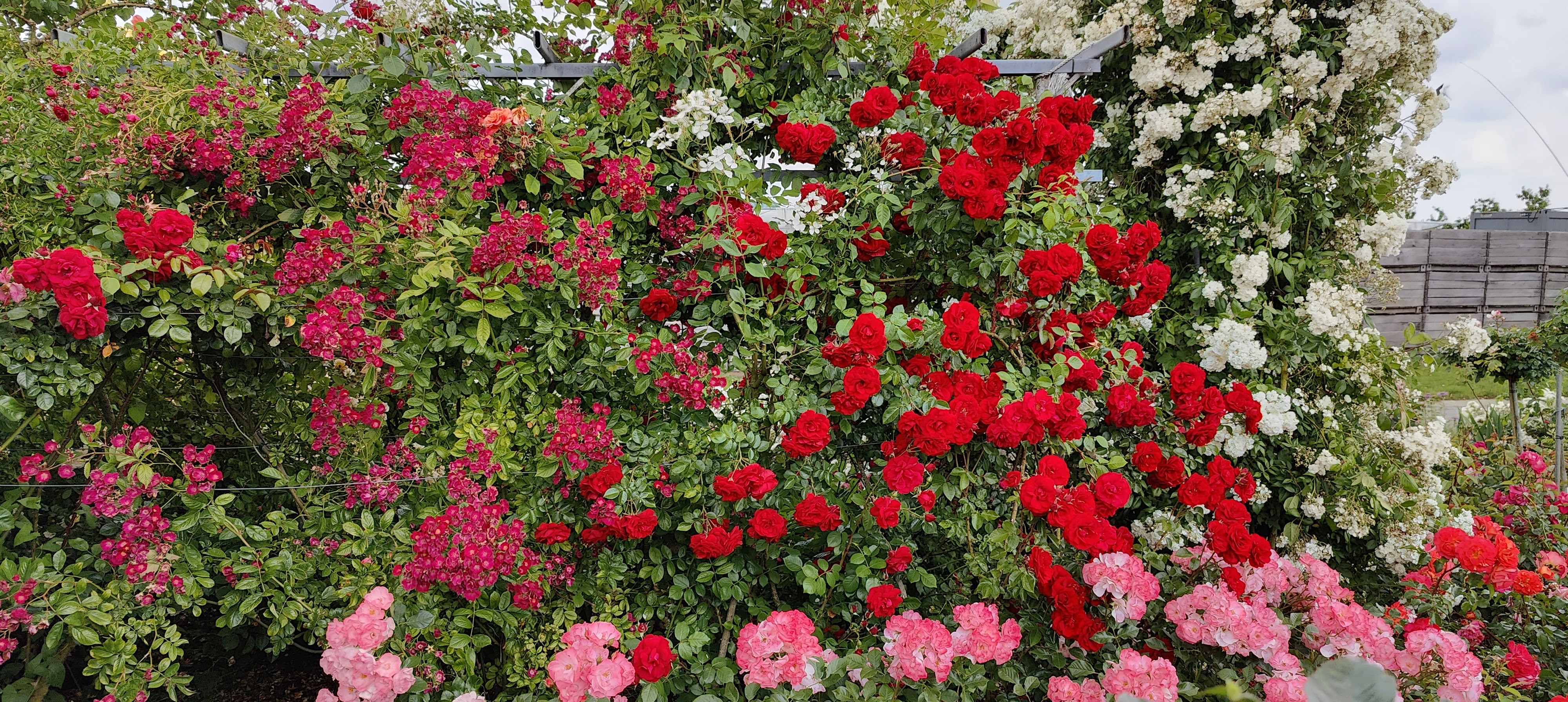 Tuin Frans Vandersmissen
