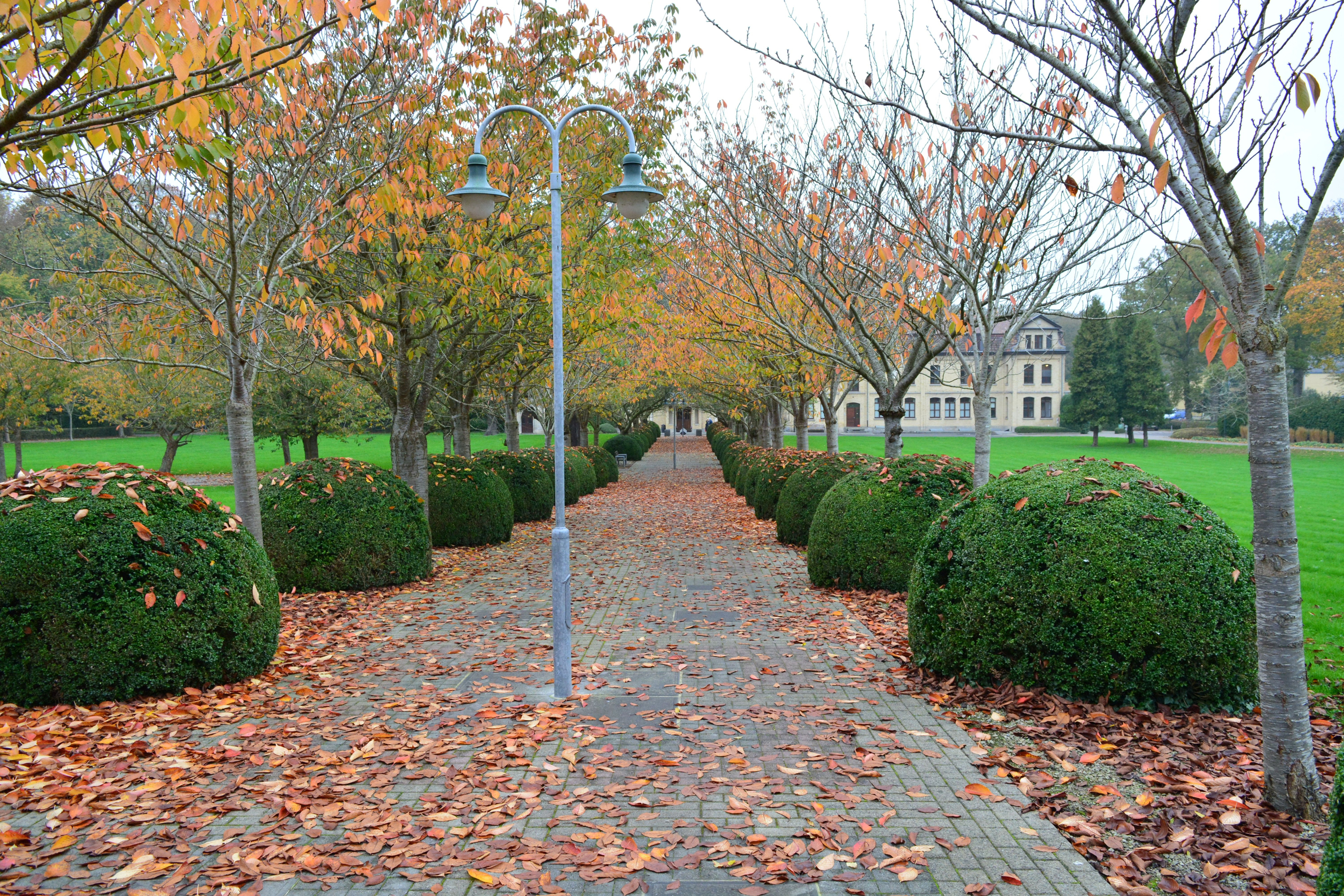 Tuin kasteelpark De lovie