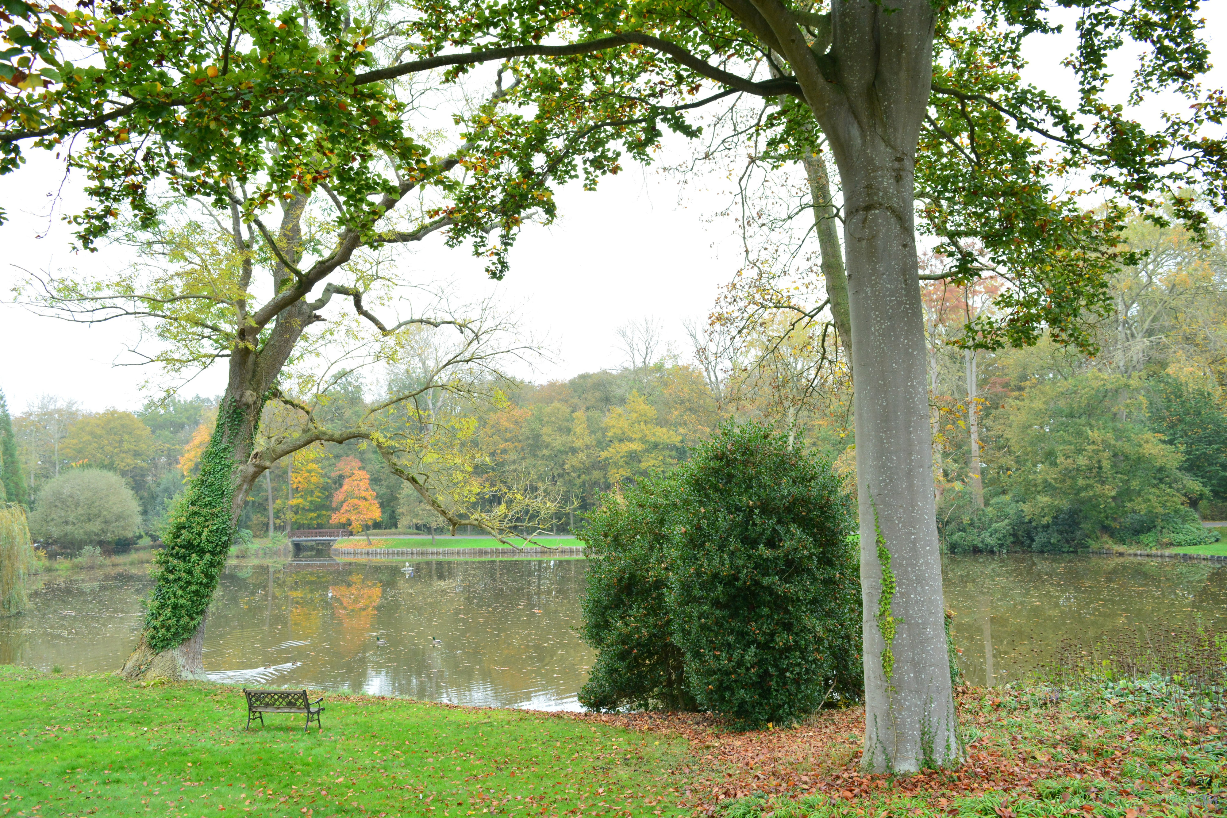 Tuin kasteelpark De lovie