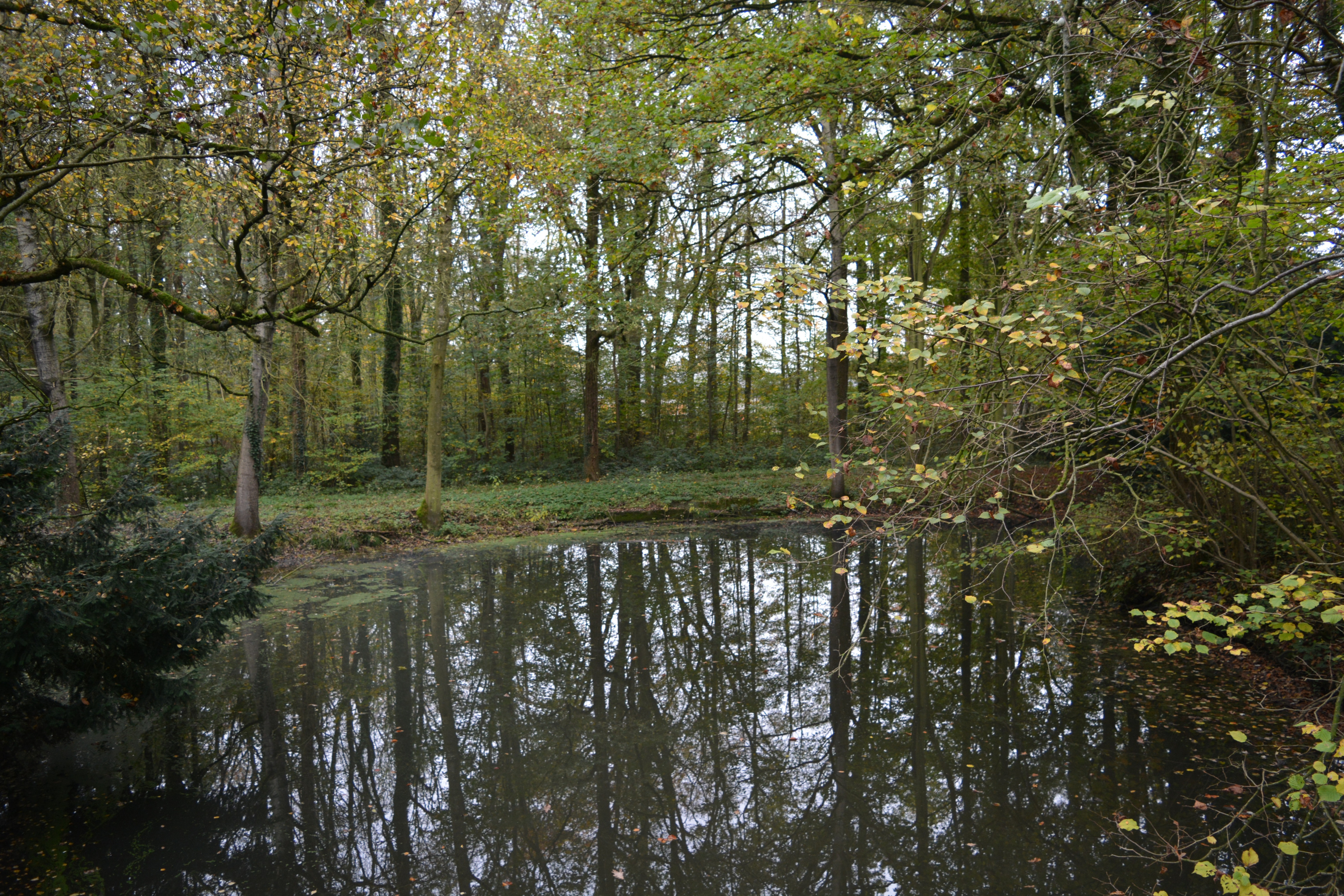 Tuin kasteelpark De lovie