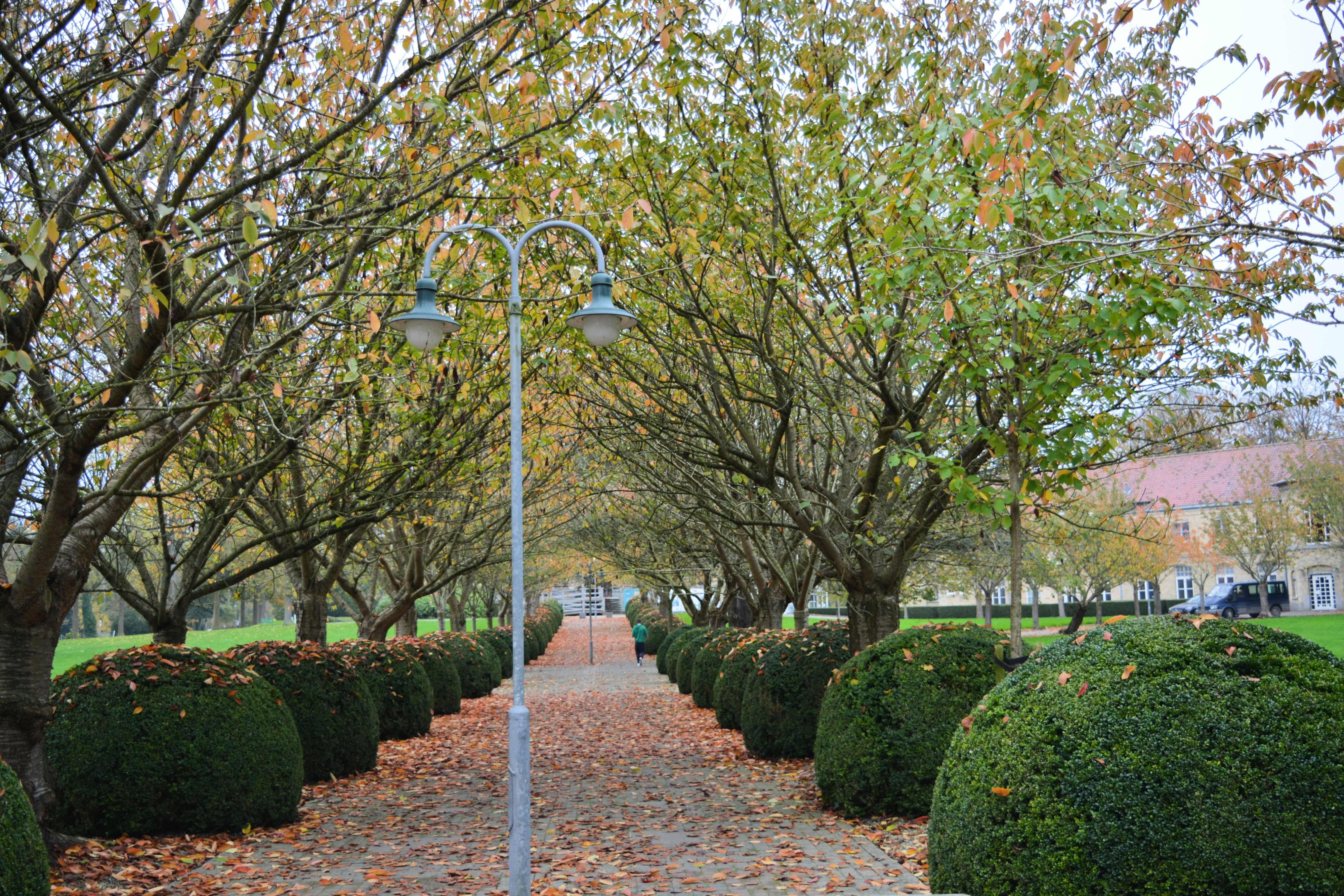 Tuin kasteelpark De lovie