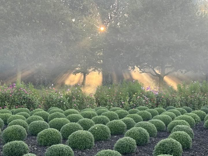 Tuin kasteelpark De lovie