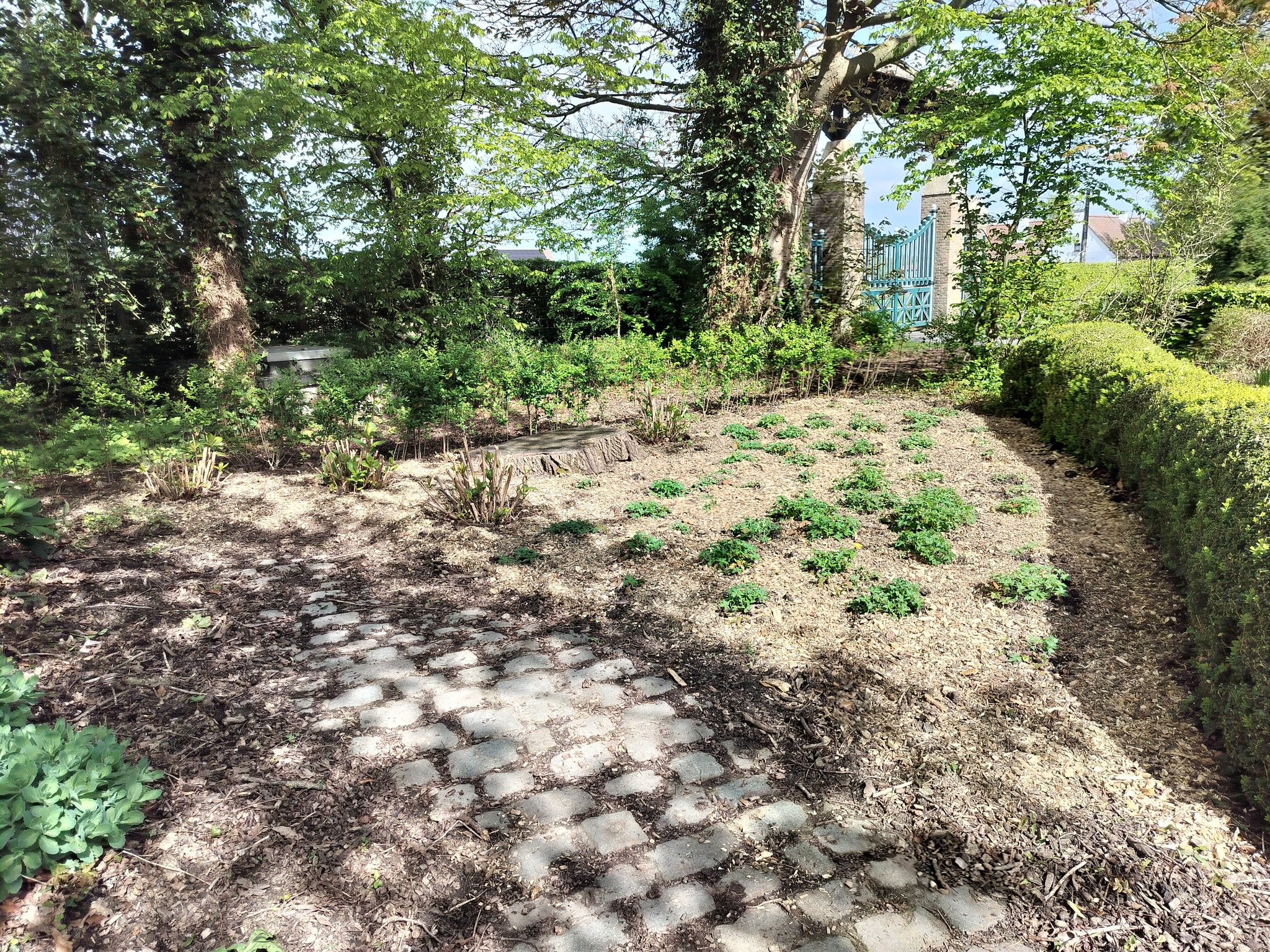 Tuin kasteelpark De lovie