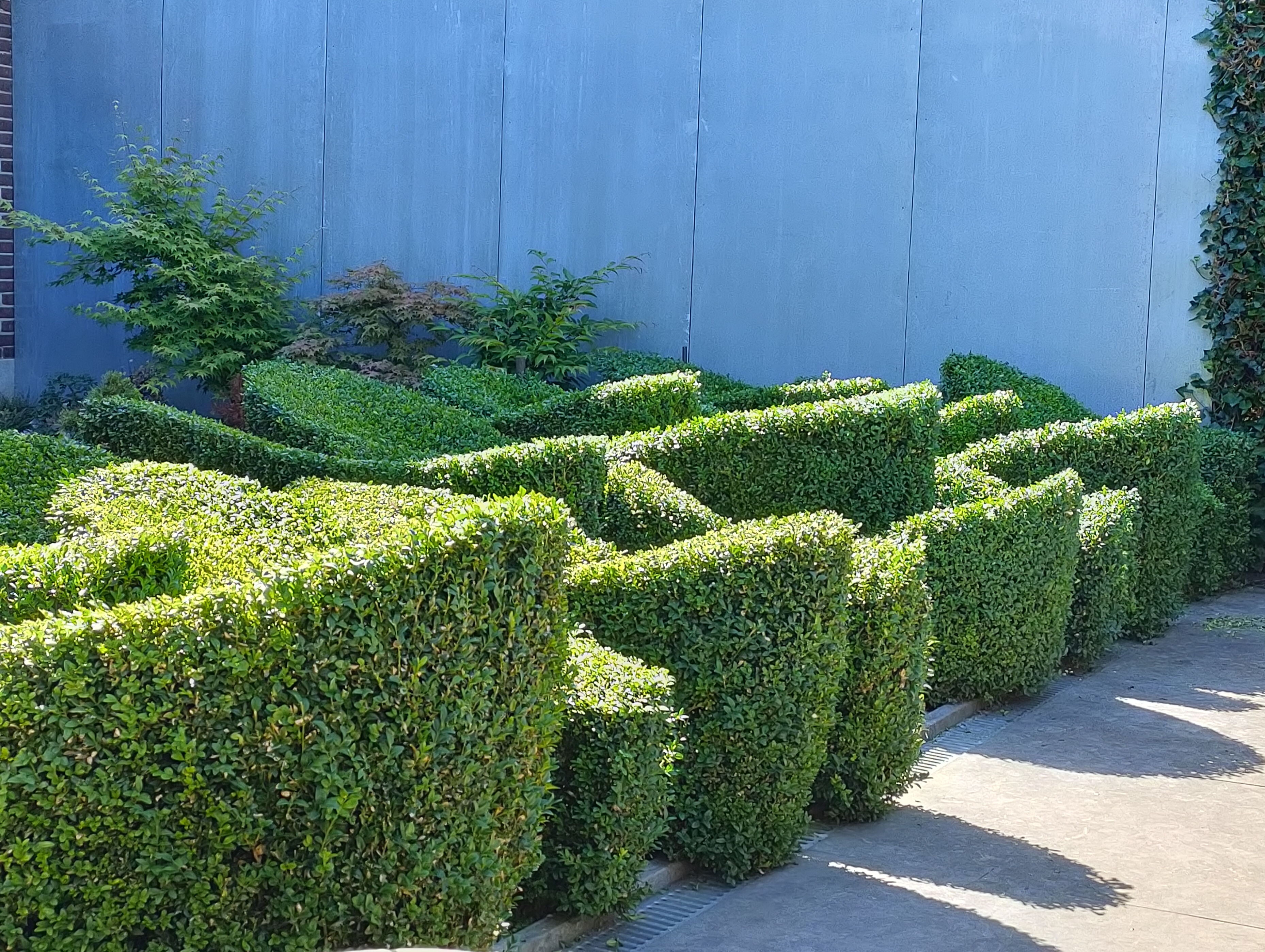 Tuin Bas Koch