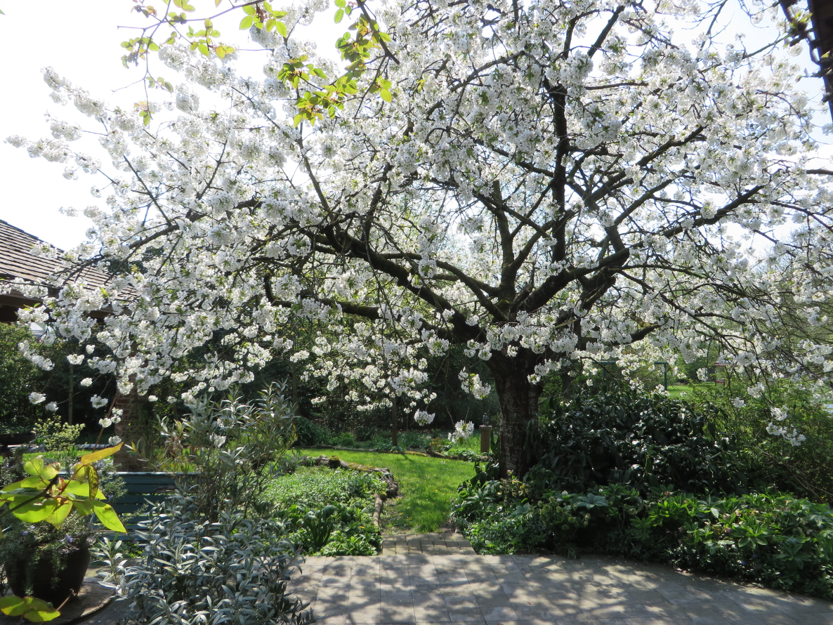 Tuin Gallery Nanda