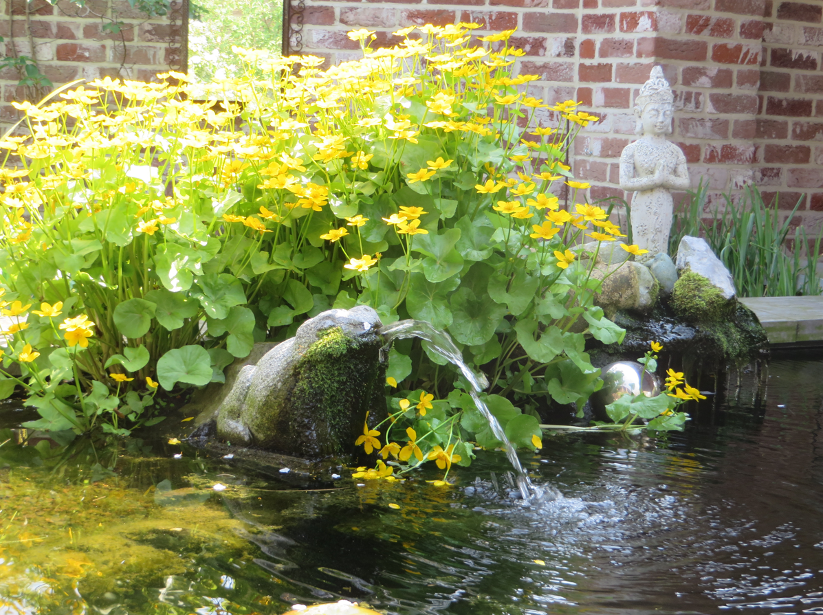 Tuin Gallery Nanda