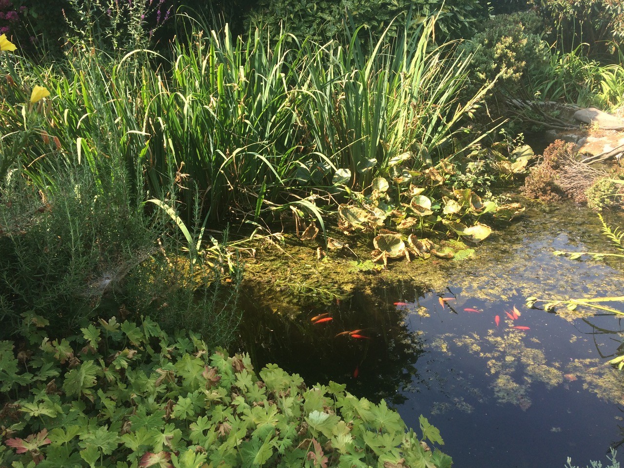 Tuin Bruno en Sigrid