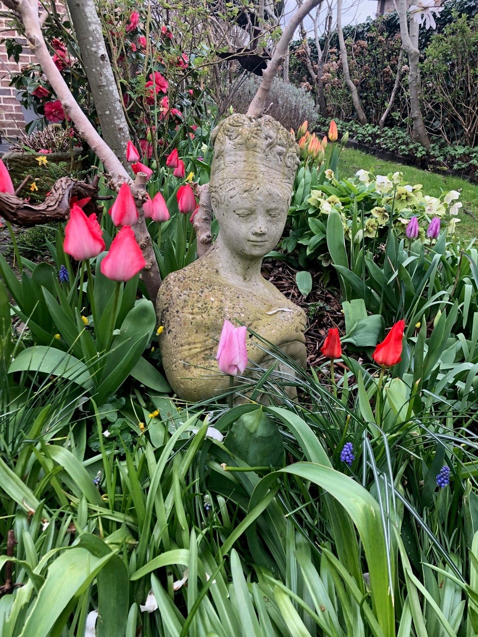 Tuin Bruno en Sigrid