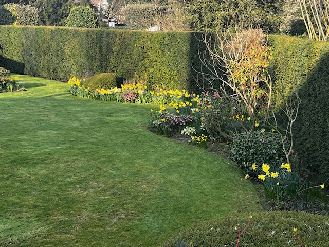 Tuin Paul Inslegers