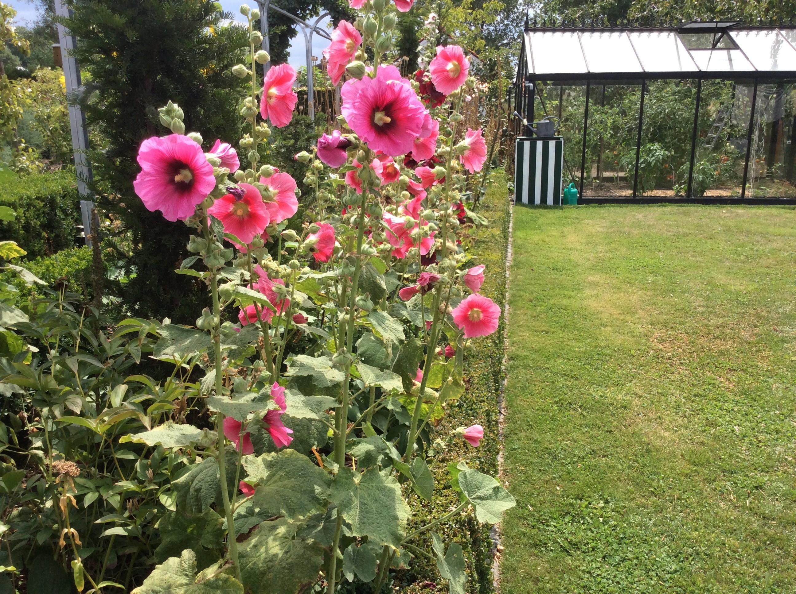 Tuin Jozef en Ingrid Parewijck