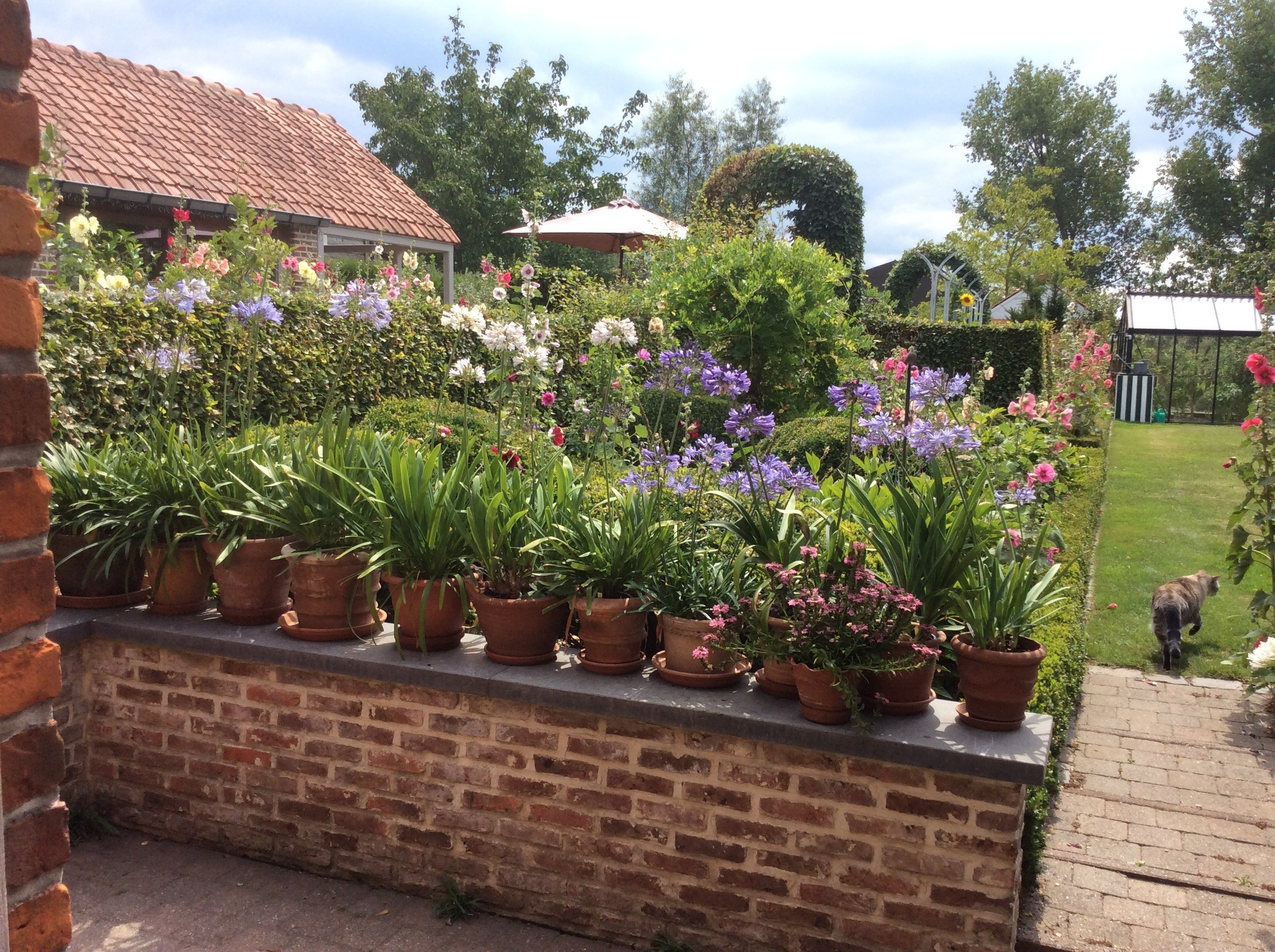 Tuin Jozef en Ingrid Parewijck