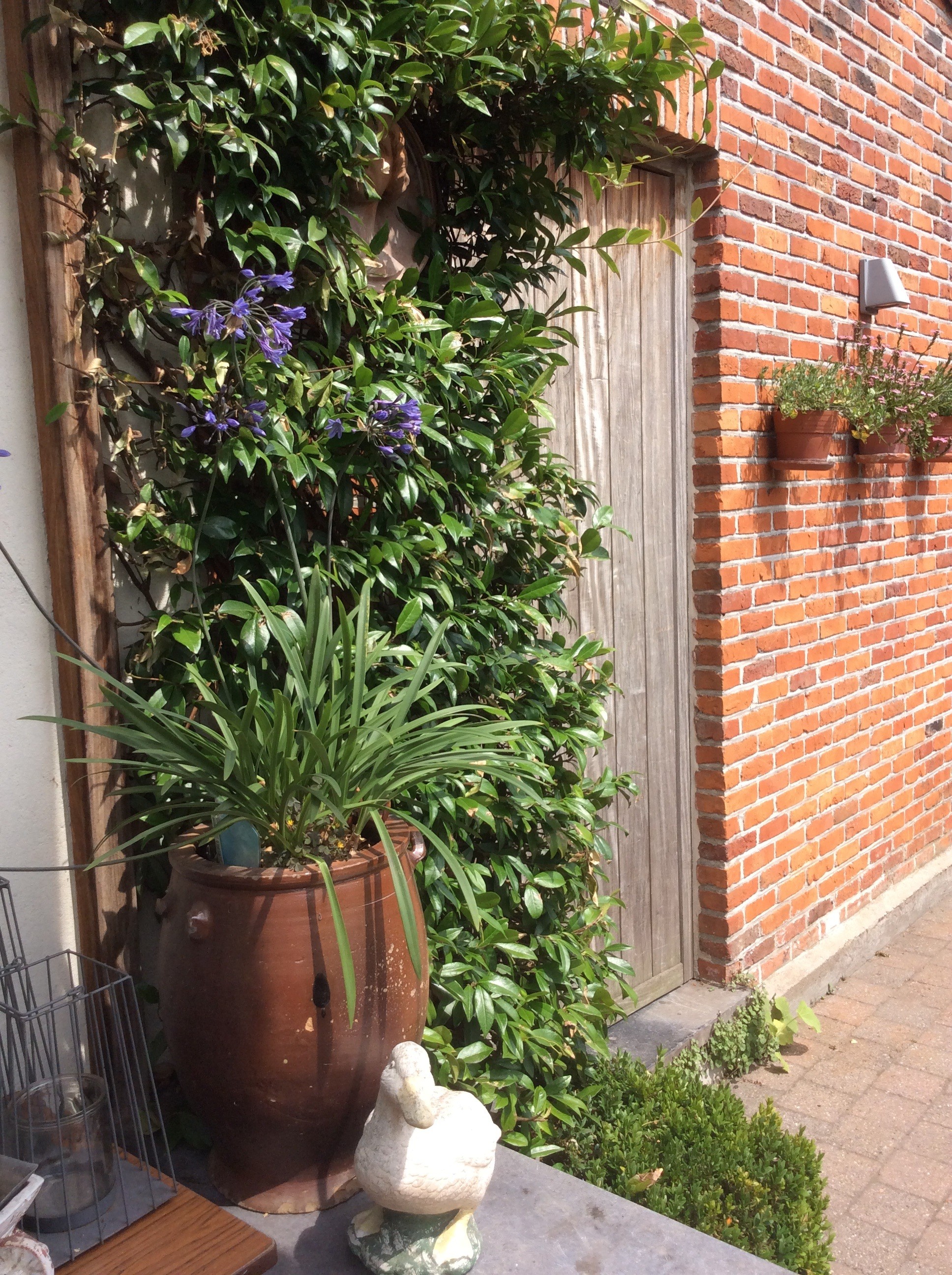 Tuin Jozef en Ingrid Parewijck