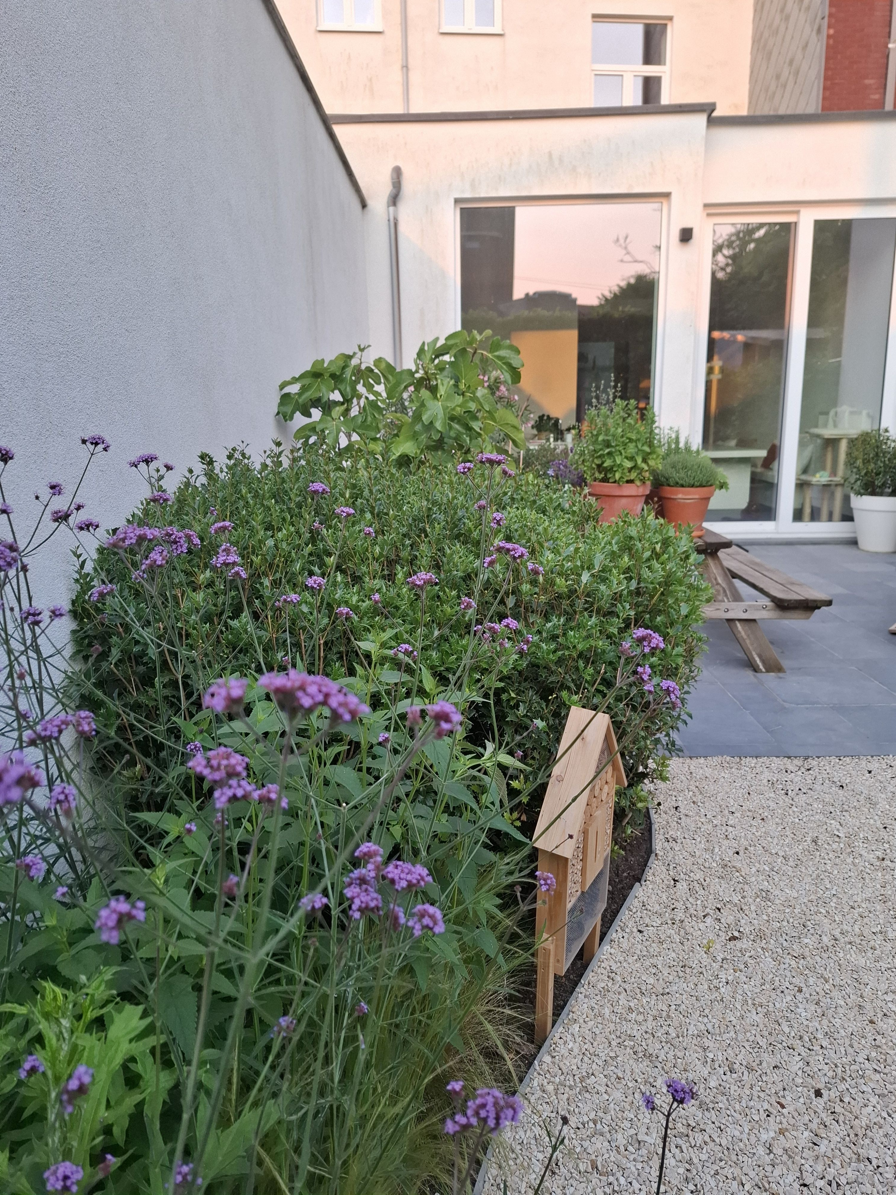 Tuin Anton Goossens