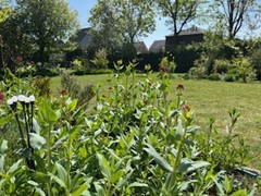 Tuin Caroline Verbeeck