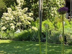 Tuin Caroline Verbeeck