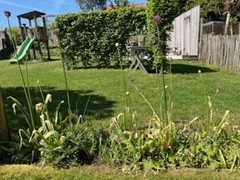 Tuin Caroline Verbeeck