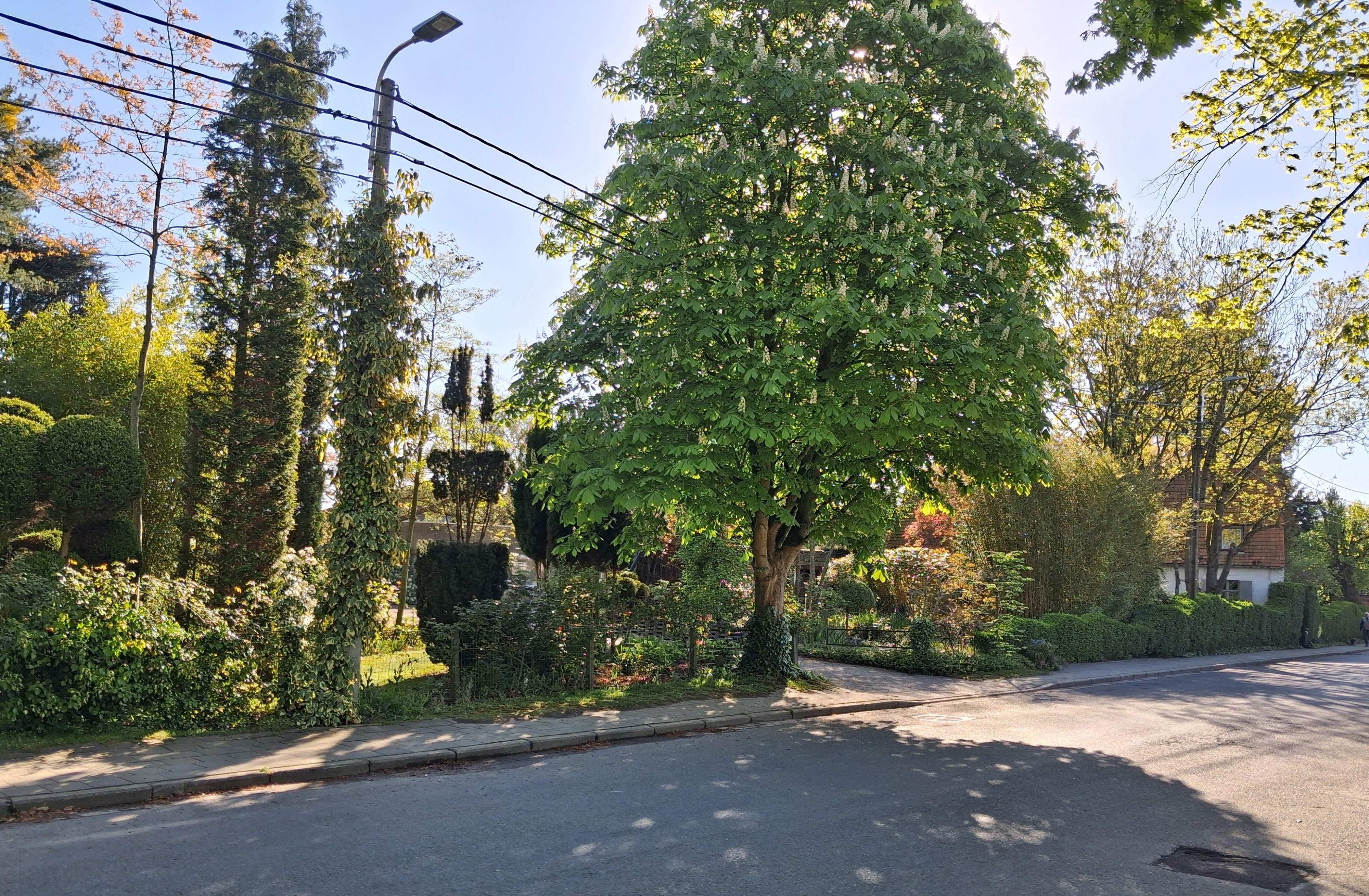 Tuin Jan Vantieghem