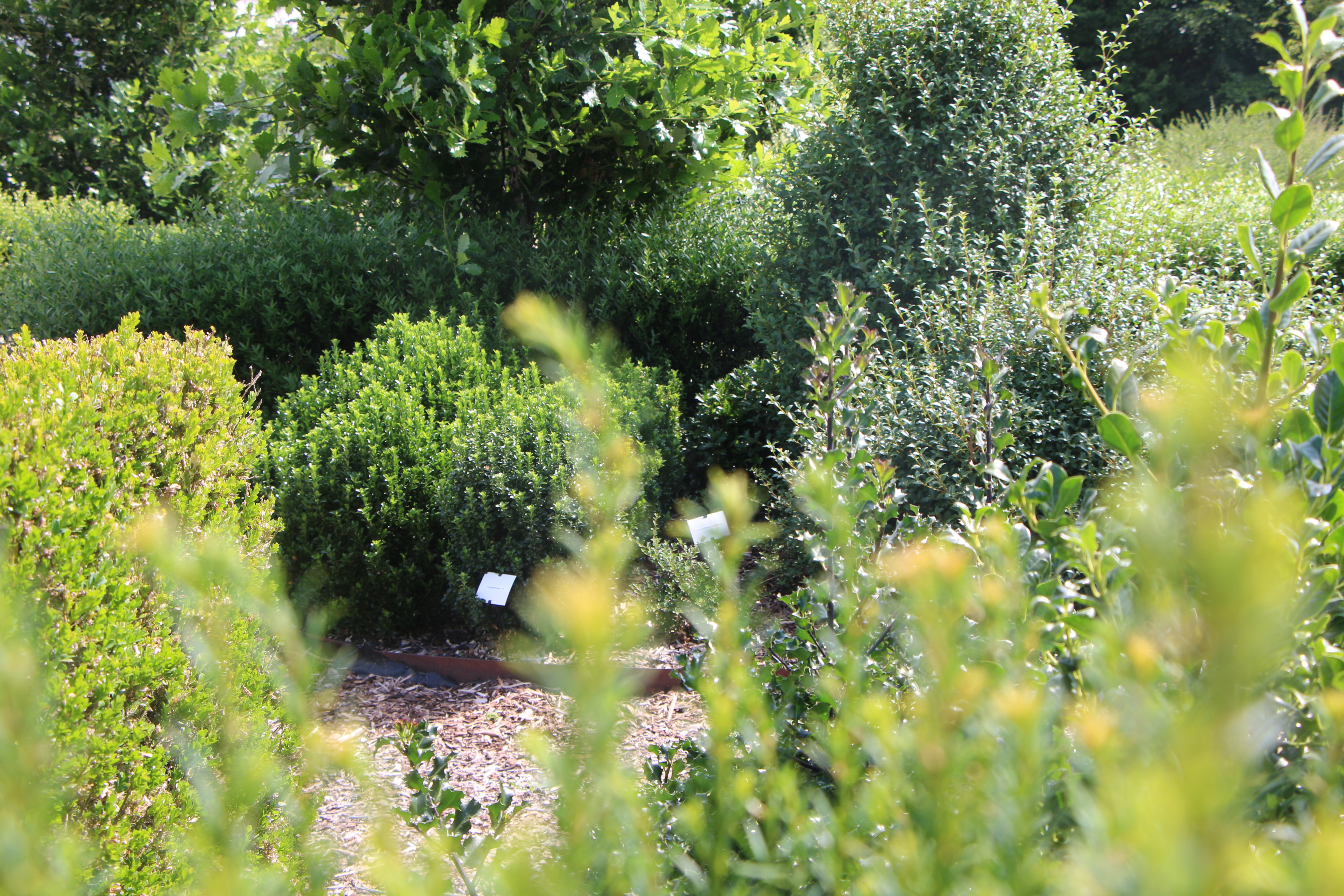 Tuin Viaverda