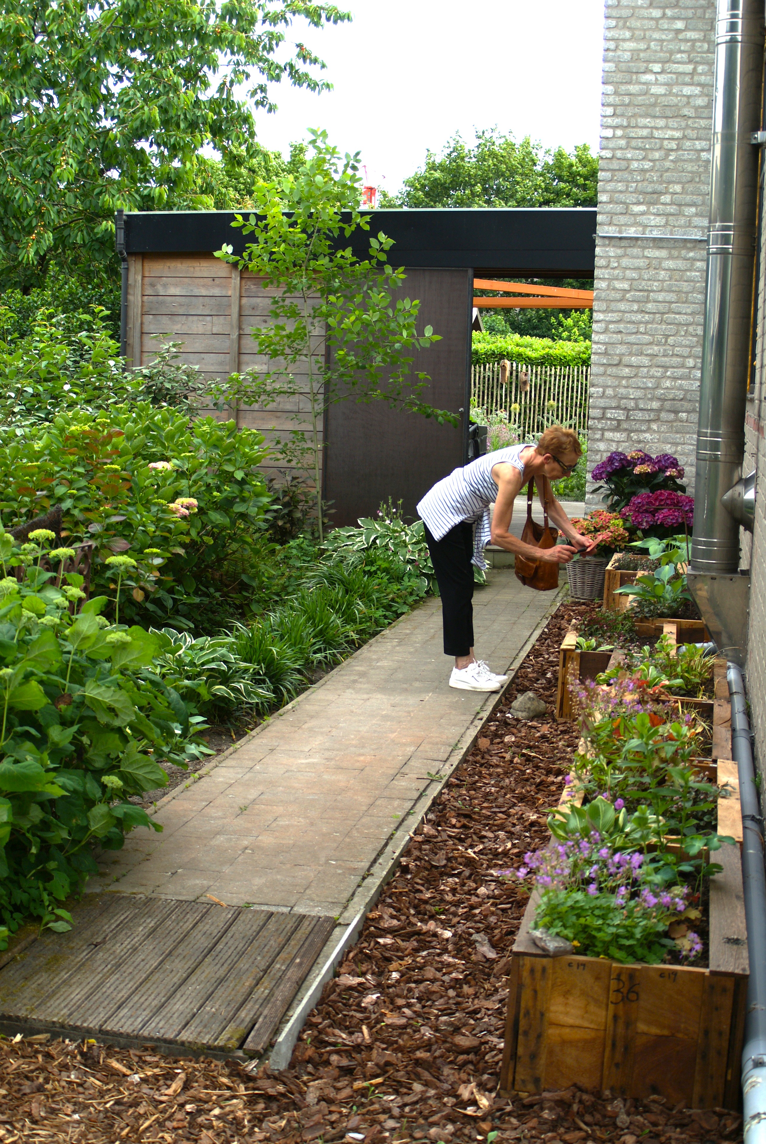 Tuin Rik De Lameilleure