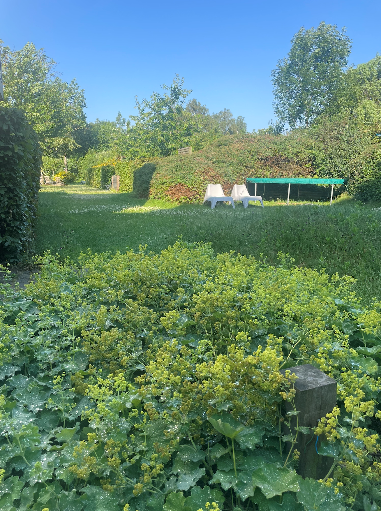 Tuin Christophe Toye