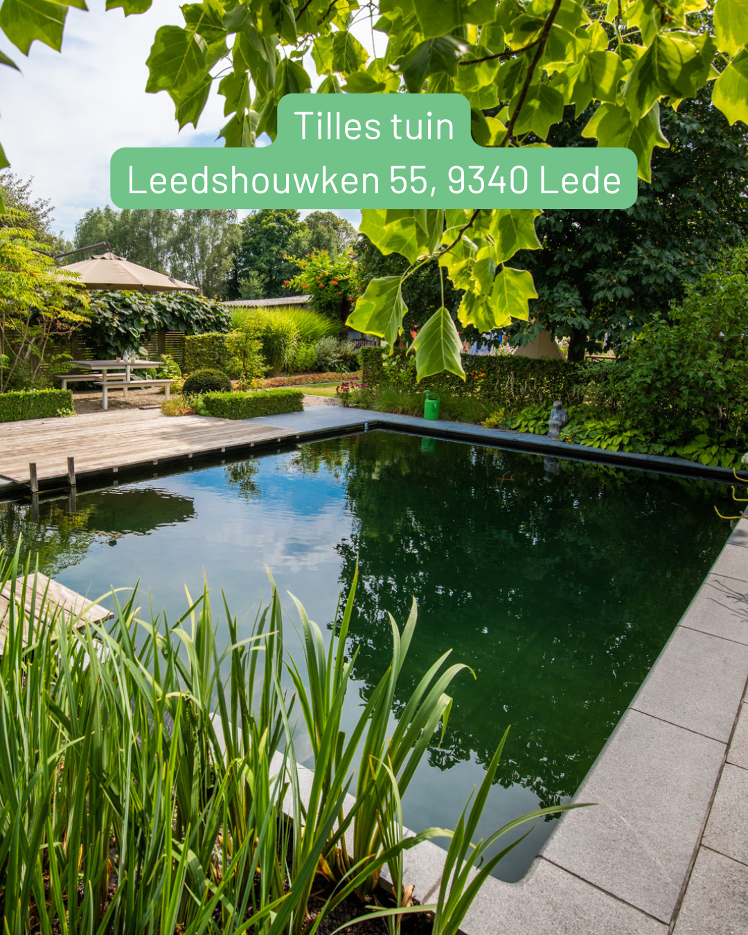 Tilles tuin
