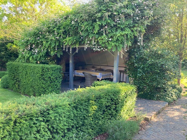 tuin3.jpg