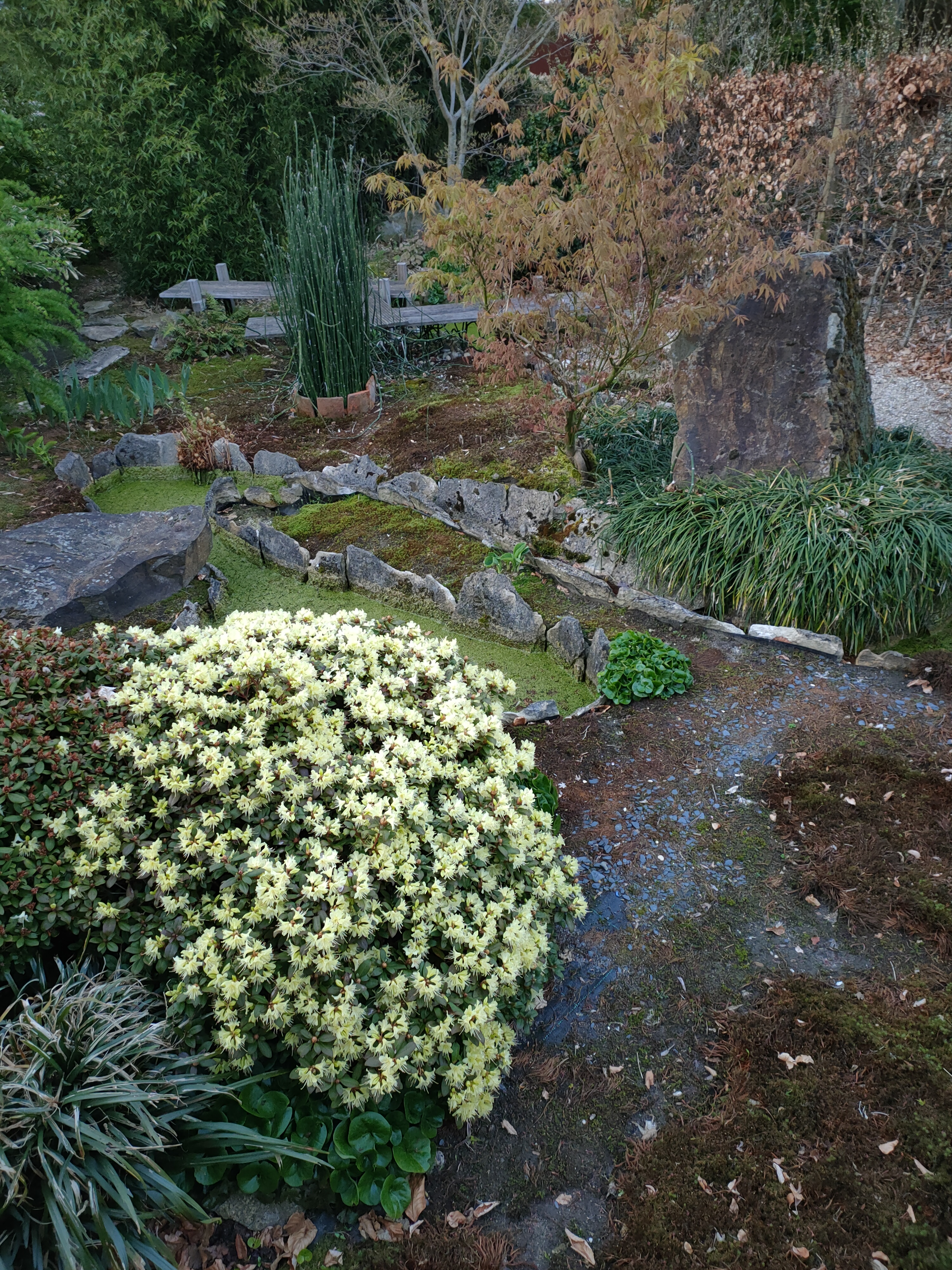 IMG20230425204927.jpg