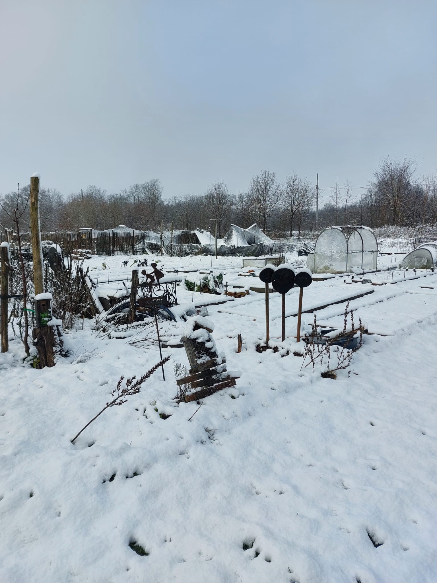 Afbeelding van WhatsApp op 2025-01-09 om 16.27.47_0f348741.jpg