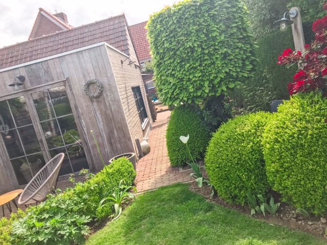 tuin 3.jpg