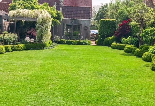 tuin 4.jpg
