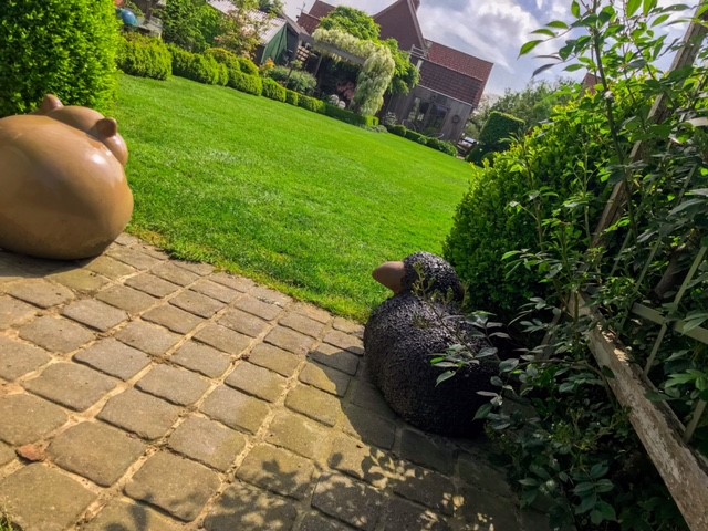 tuin 5.jpg