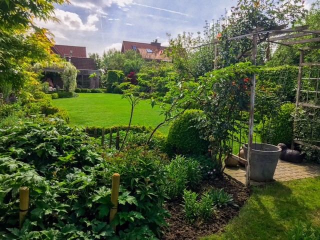 tuin 6.jpg