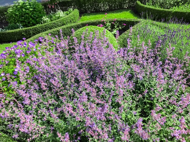 tuin 7.jpg