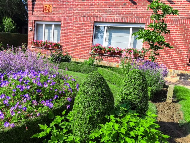 tuin 8.jpg