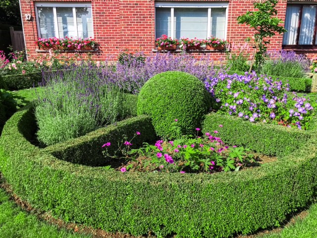 tuin 9.jpg