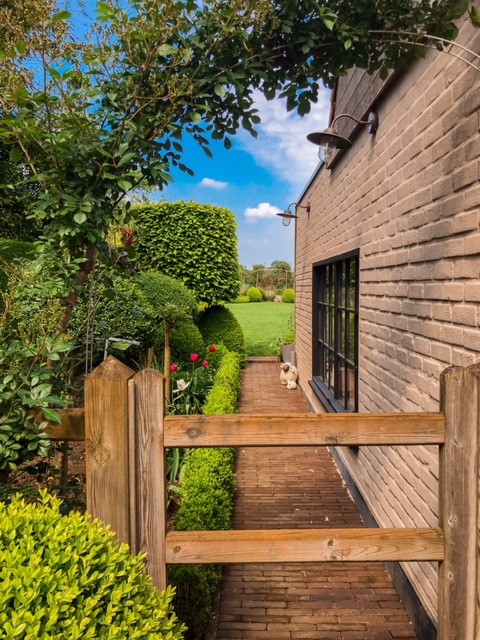 tuin.jpg