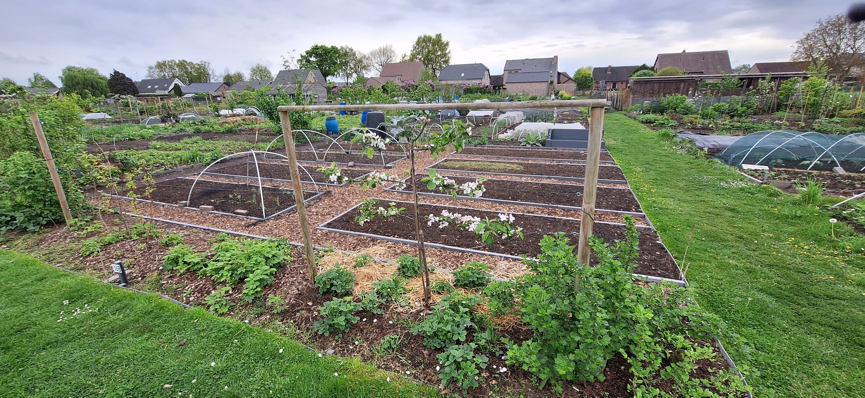 tuin1.jpg