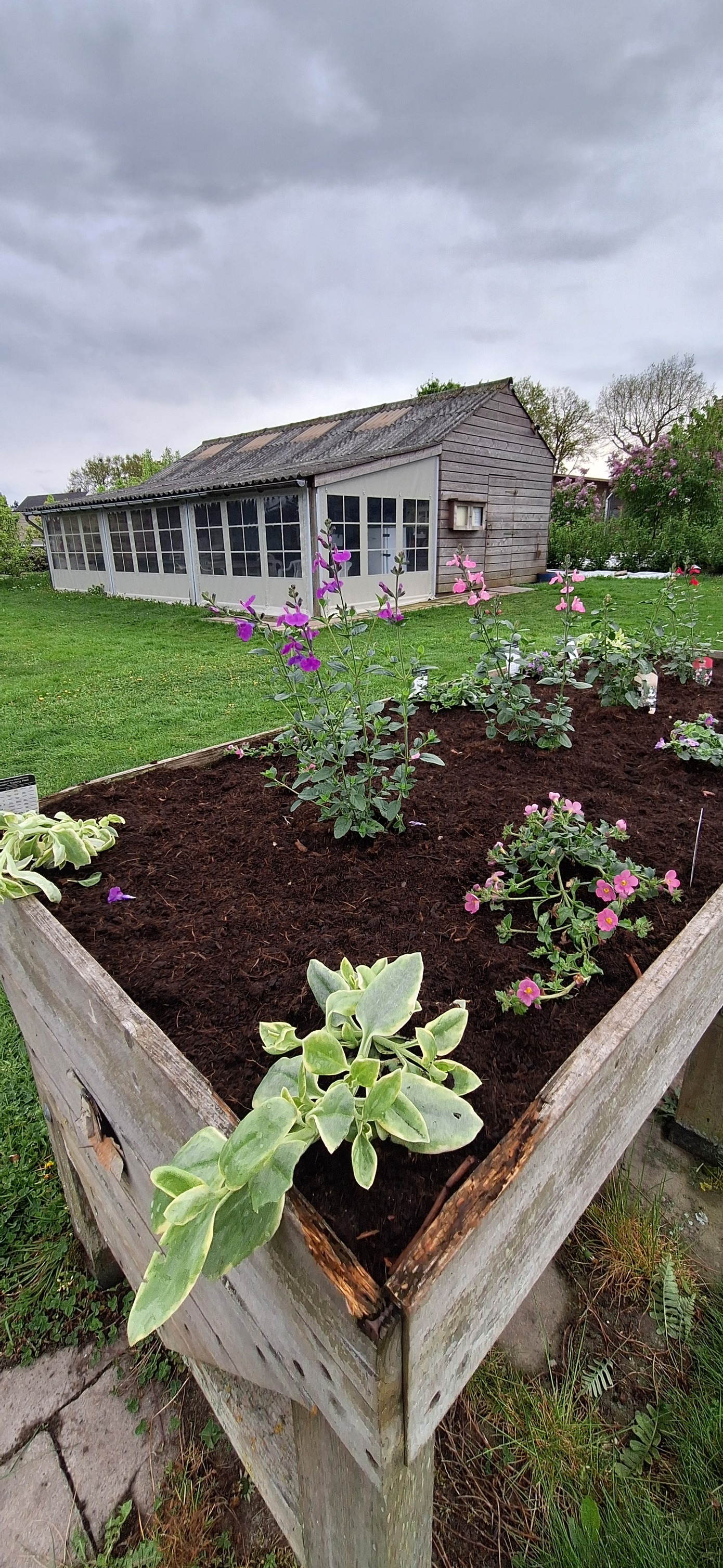 tuin2.jpg