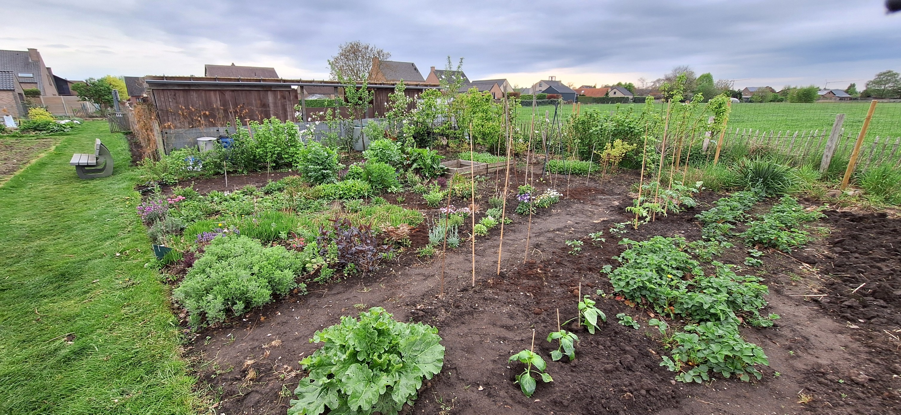 tuin3.jpg