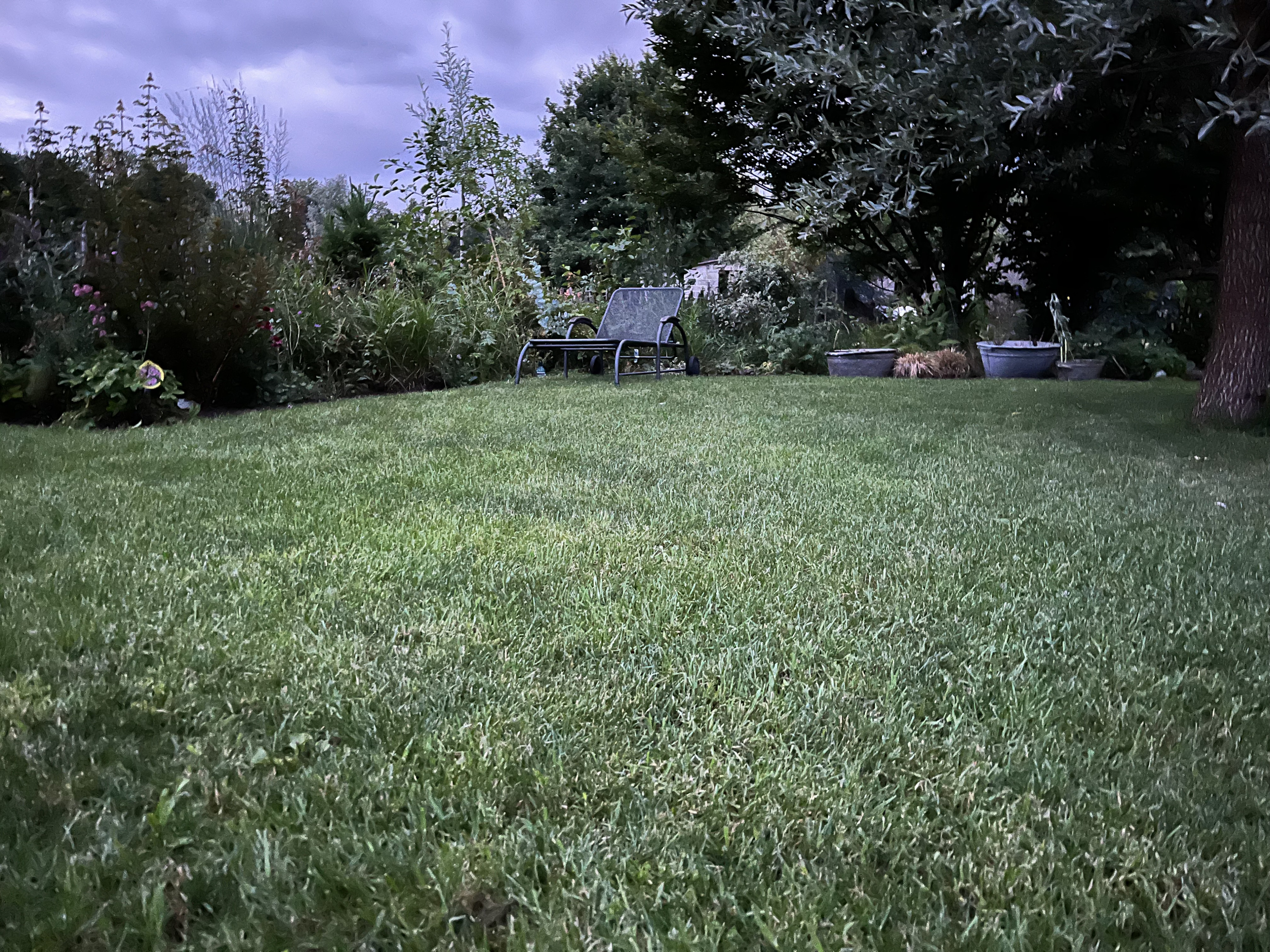IMG_0926.jpeg