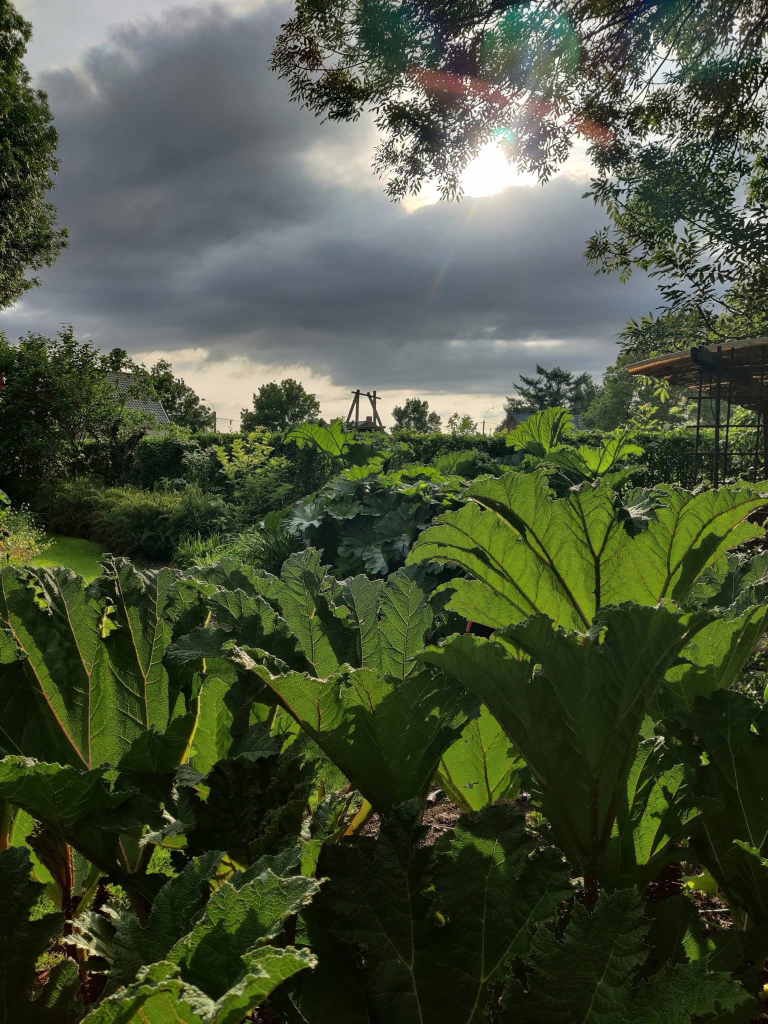 IMG_0037.jpeg