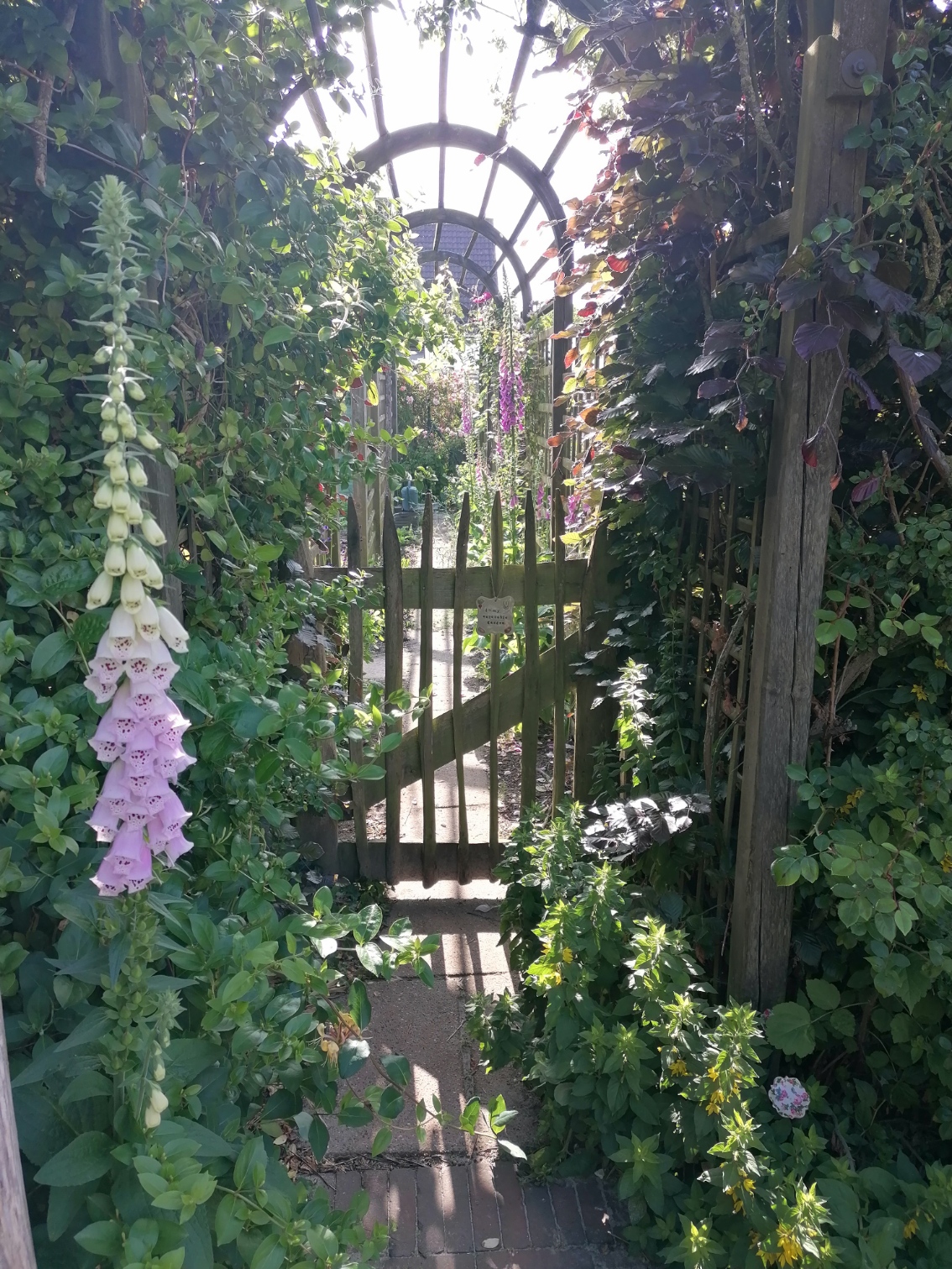tuin2.jpg