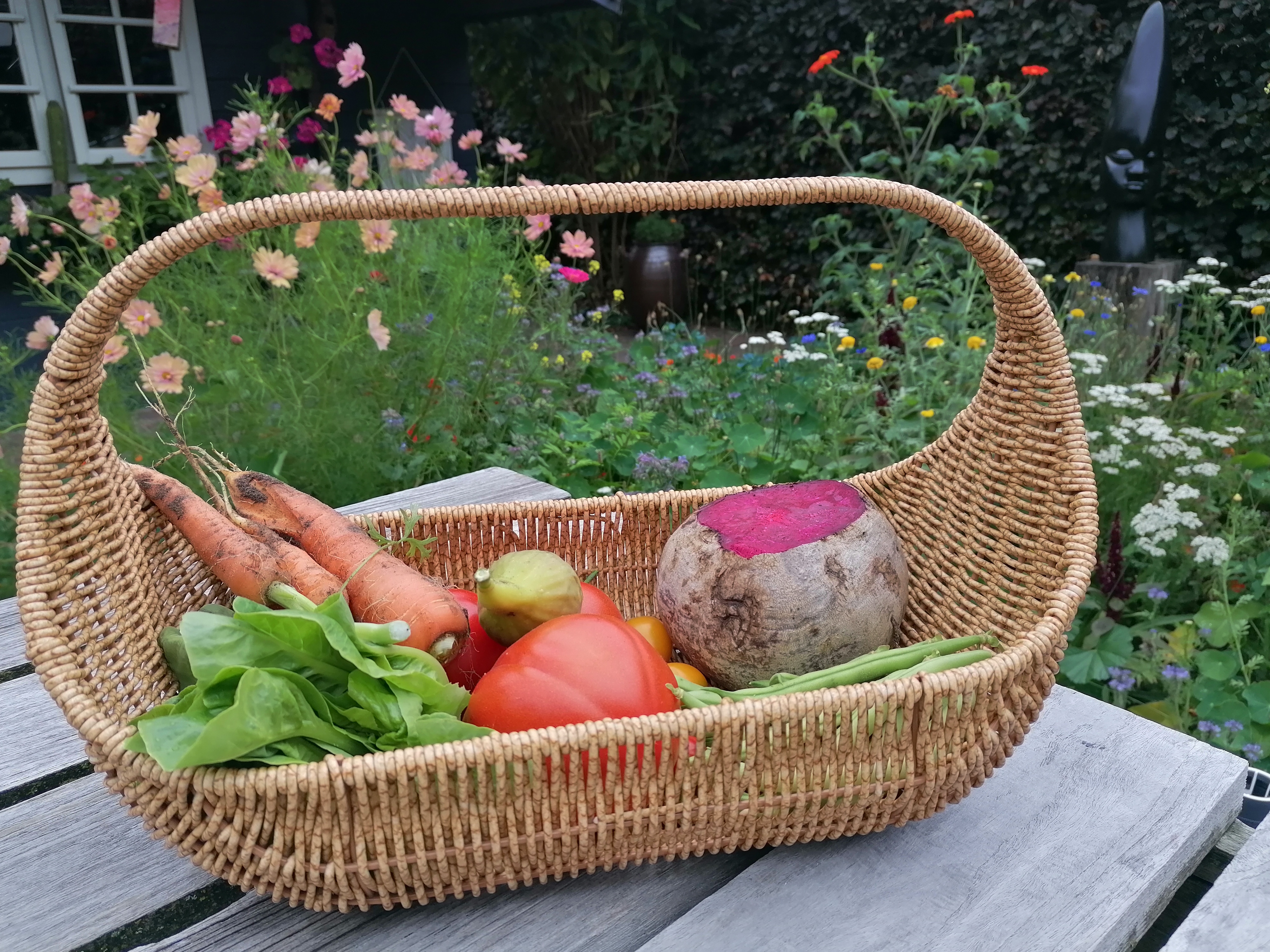 tuin5.jpg