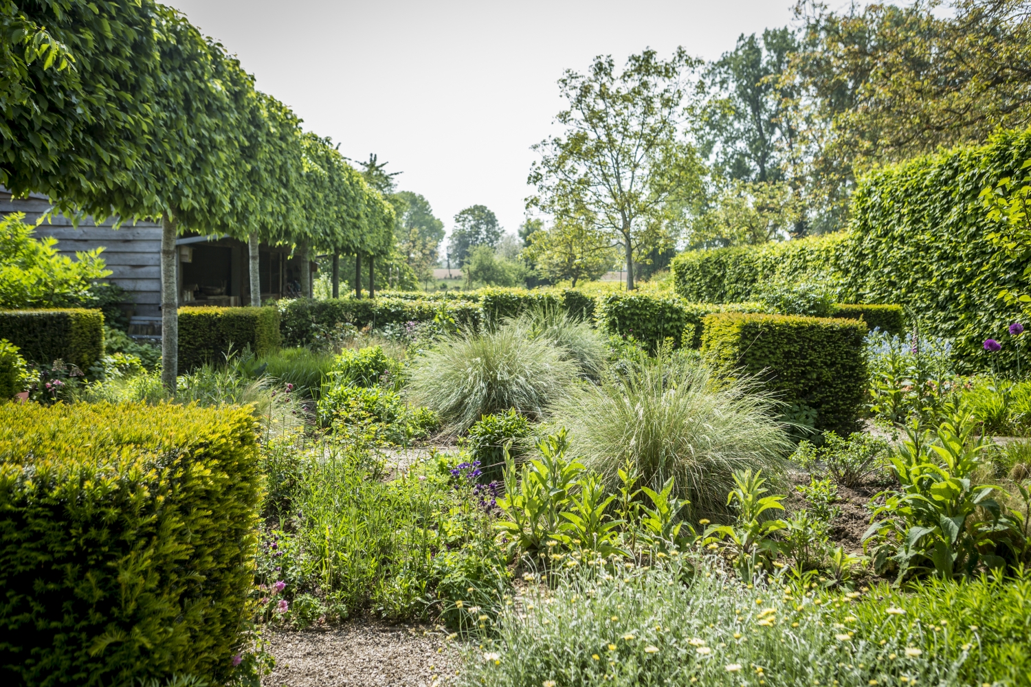 200508_TUIN_LAURENCE__075 Landelijke Gilden.jpg