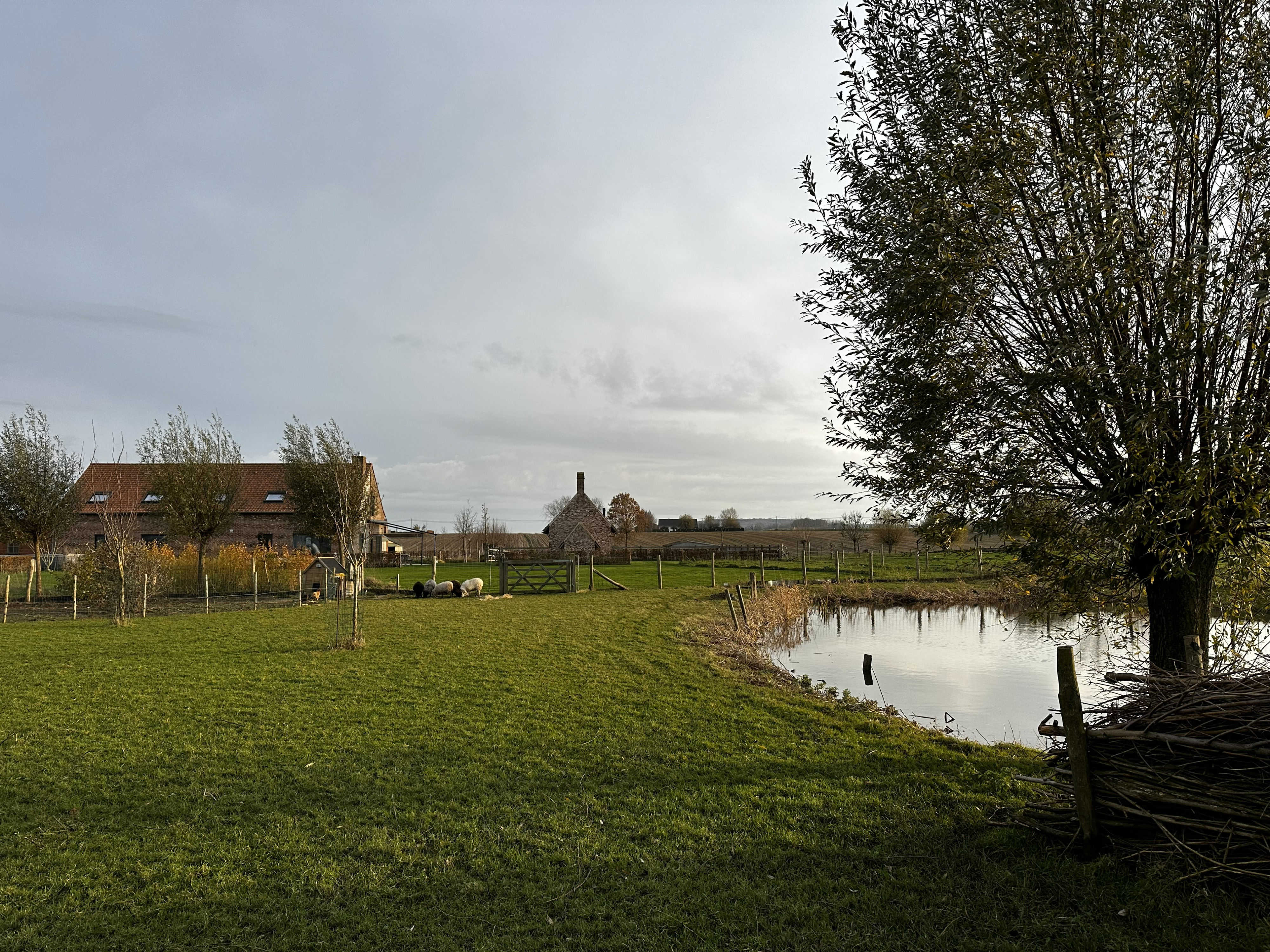 IMG_1623.jpeg